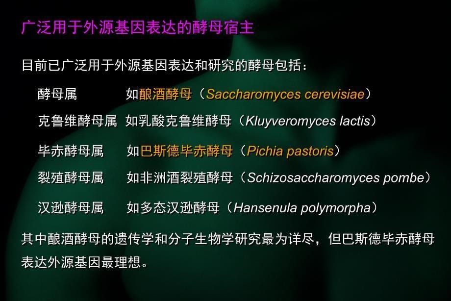 重组dna技术与重组蛋白表达_第5页