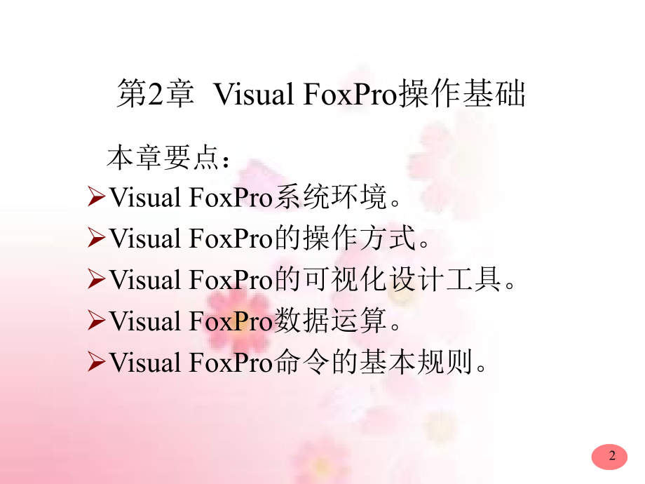 visual-foxpro操作基础_第2页