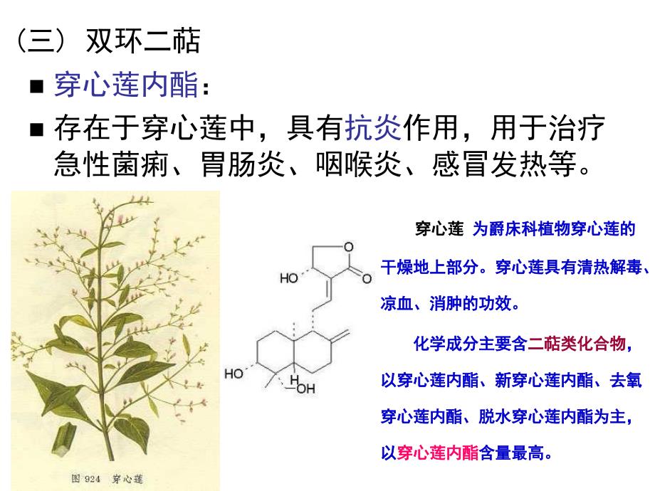 《萜类和挥发油》ppt课件_第4页