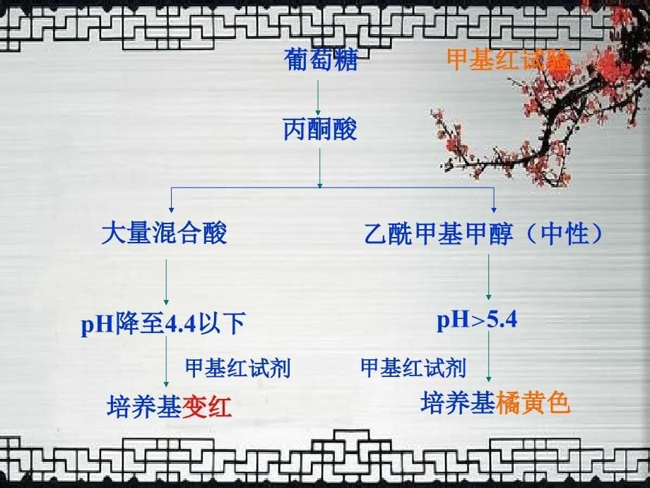 《细菌的生化反应》ppt课件_第5页