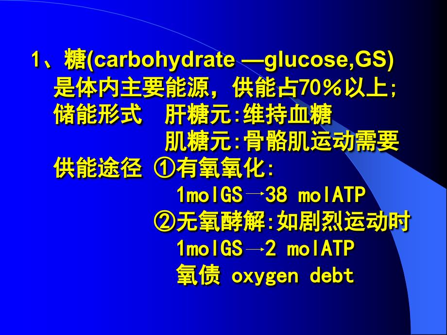 《能量代谢》ppt课件_第3页