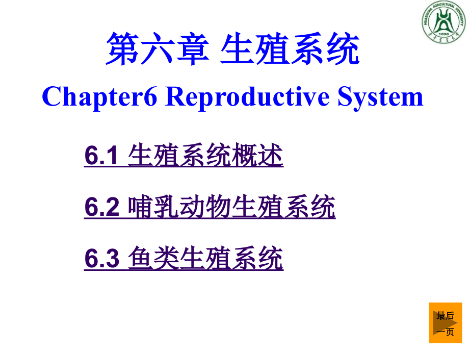 《生殖系统》ppt课件-2_第1页