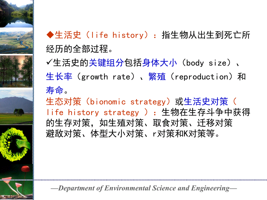 《生活史对策》ppt课件-2_第2页