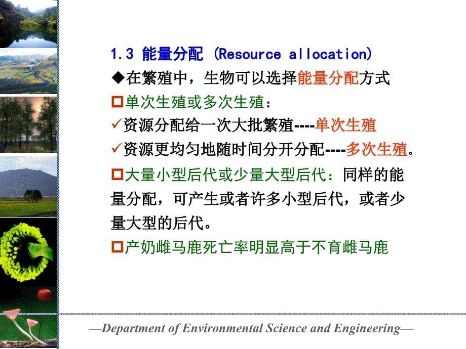 《生活史对策》ppt课件-2_第5页