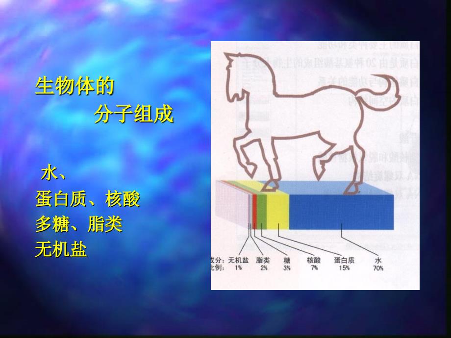 《生命物质基础》ppt课件_第3页