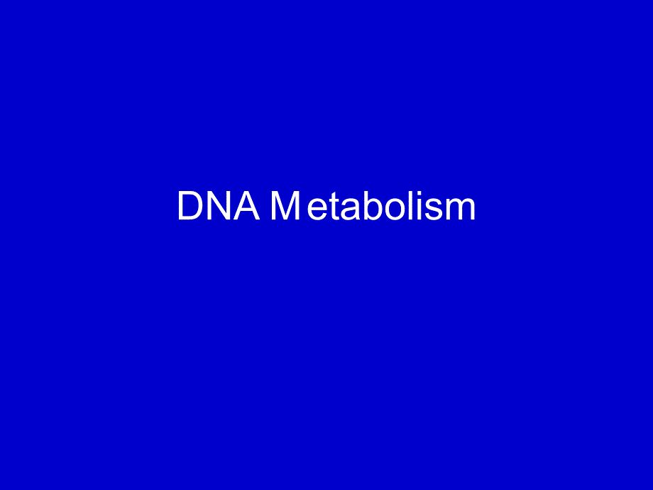 DNA Metabolism_第1页