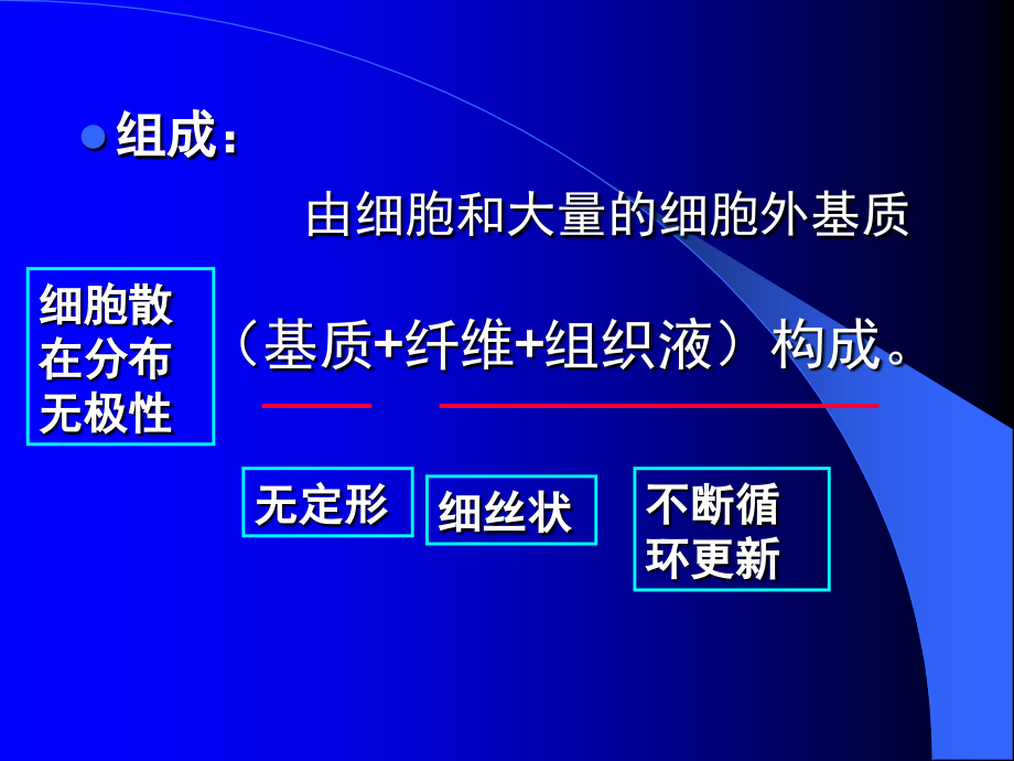 《结缔组织》ppt课件_第2页