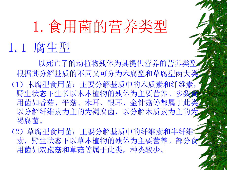 《食用菌的营养》ppt课件_第2页