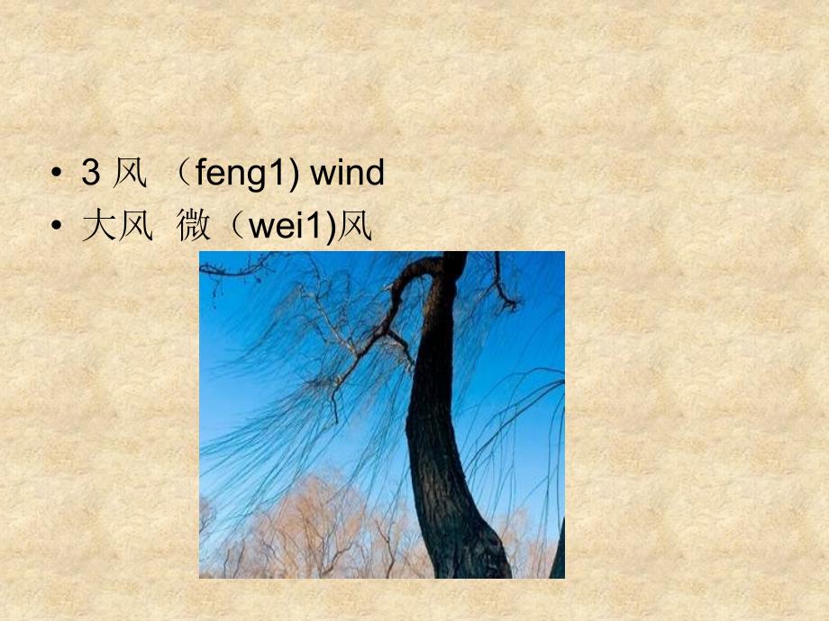初级汉语口语-第十四课-今天天气怎么样_第3页