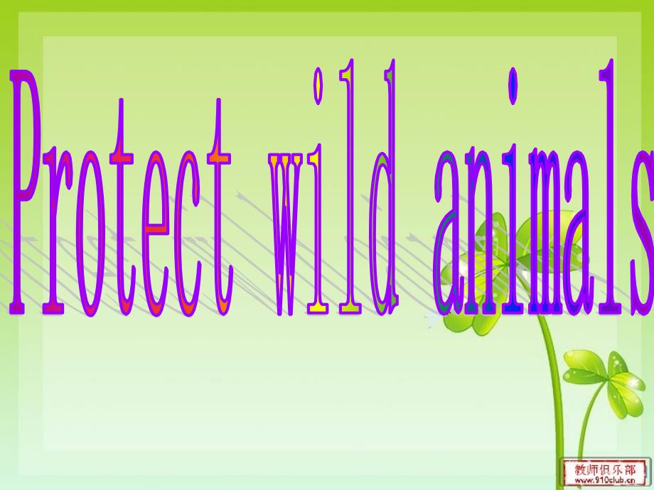 保护野生动物  英语作_第1页