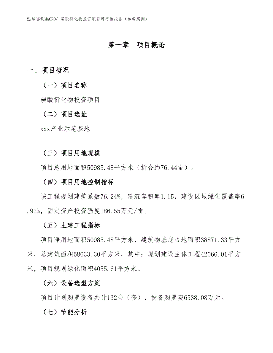 磺酸衍化物投资项目可行性报告（参考案例）_第2页