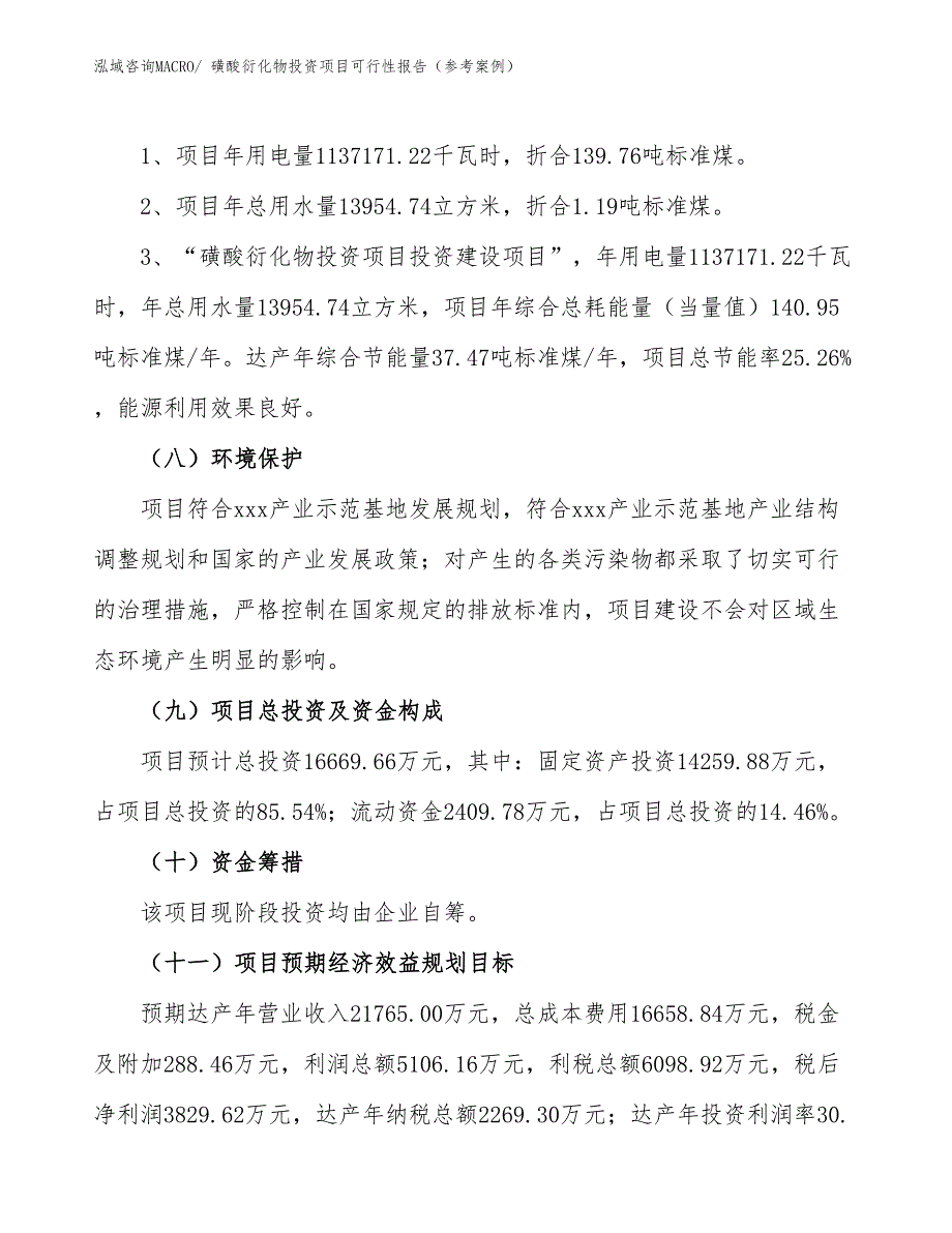 磺酸衍化物投资项目可行性报告（参考案例）_第3页