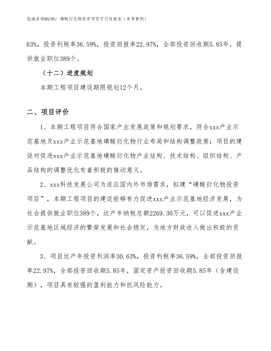 磺酸衍化物投资项目可行性报告（参考案例）_第4页