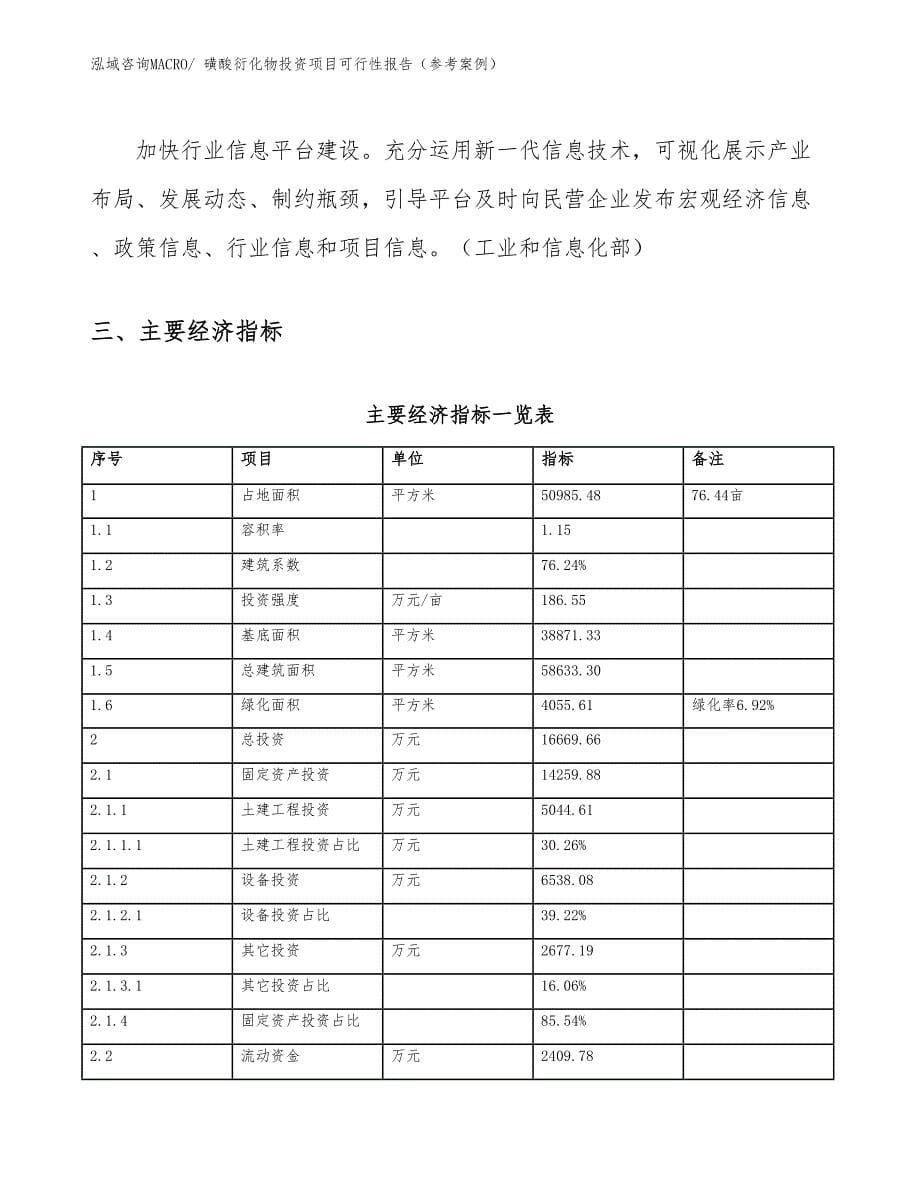 磺酸衍化物投资项目可行性报告（参考案例）_第5页