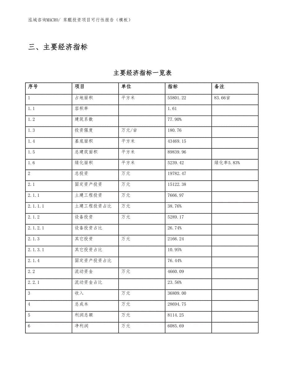 苯醌投资项目可行性报告（模板）_第5页