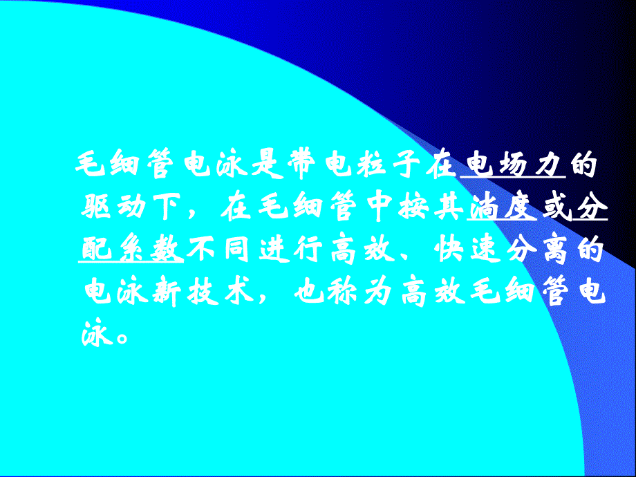 电泳法和高效毛细管电泳法_第2页