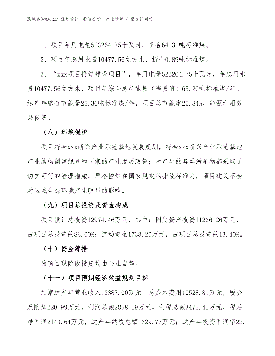 硅油纸项目投资计划书（设计方案）_第2页