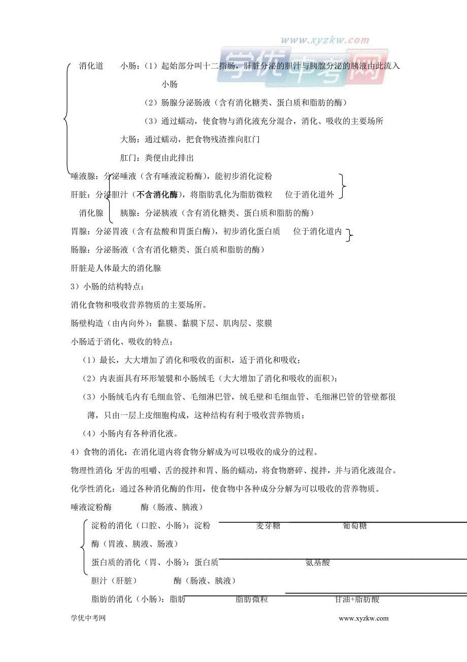 中考生物复习提纲：生物圈中的人_第5页