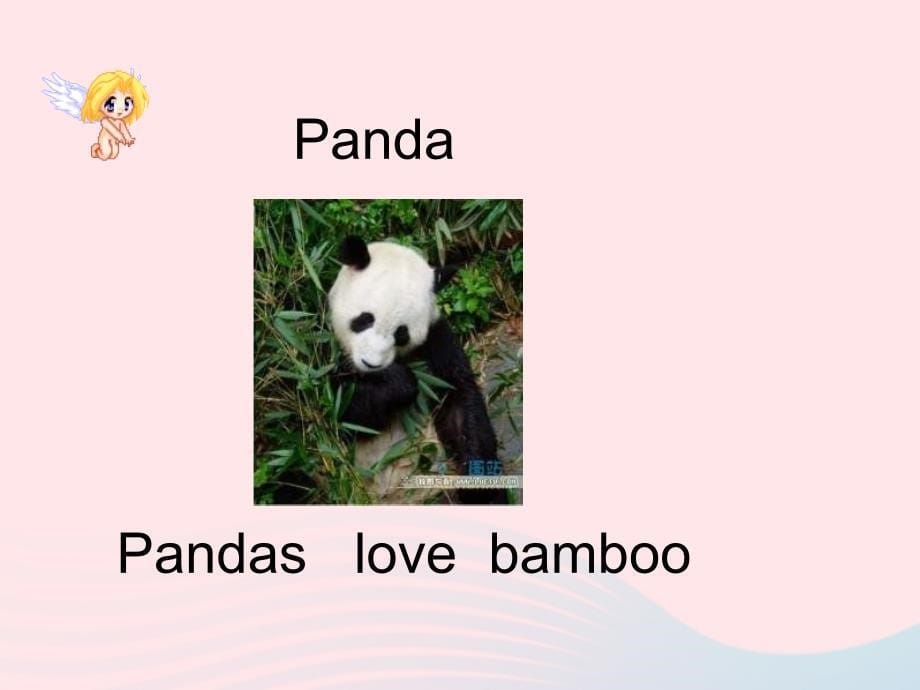 2018年六年级英语上册 module 7 unit 2 pandas love bamboo课件外研版（三起）_第5页