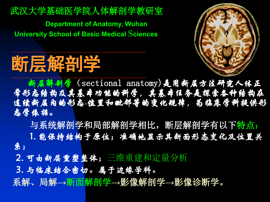 医学]断层解剖学课件1断层-头部_第1页