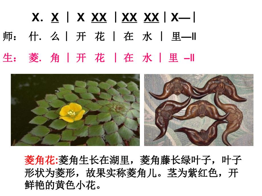 《对鲜花》课件3_第3页