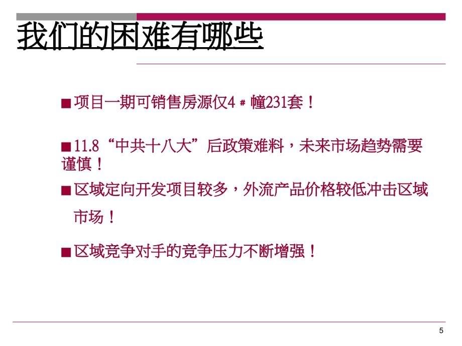 “金领时代”2012年10月至一次开盘营销策划_第5页