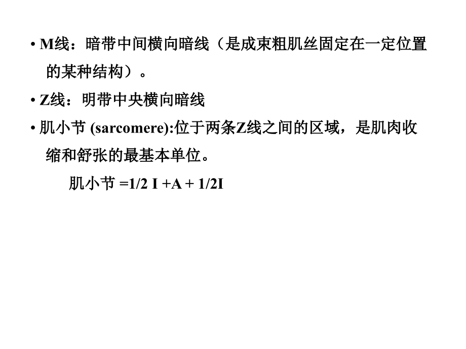 动物生理学  第四章 肌肉的兴奋与收缩  课件_第3页