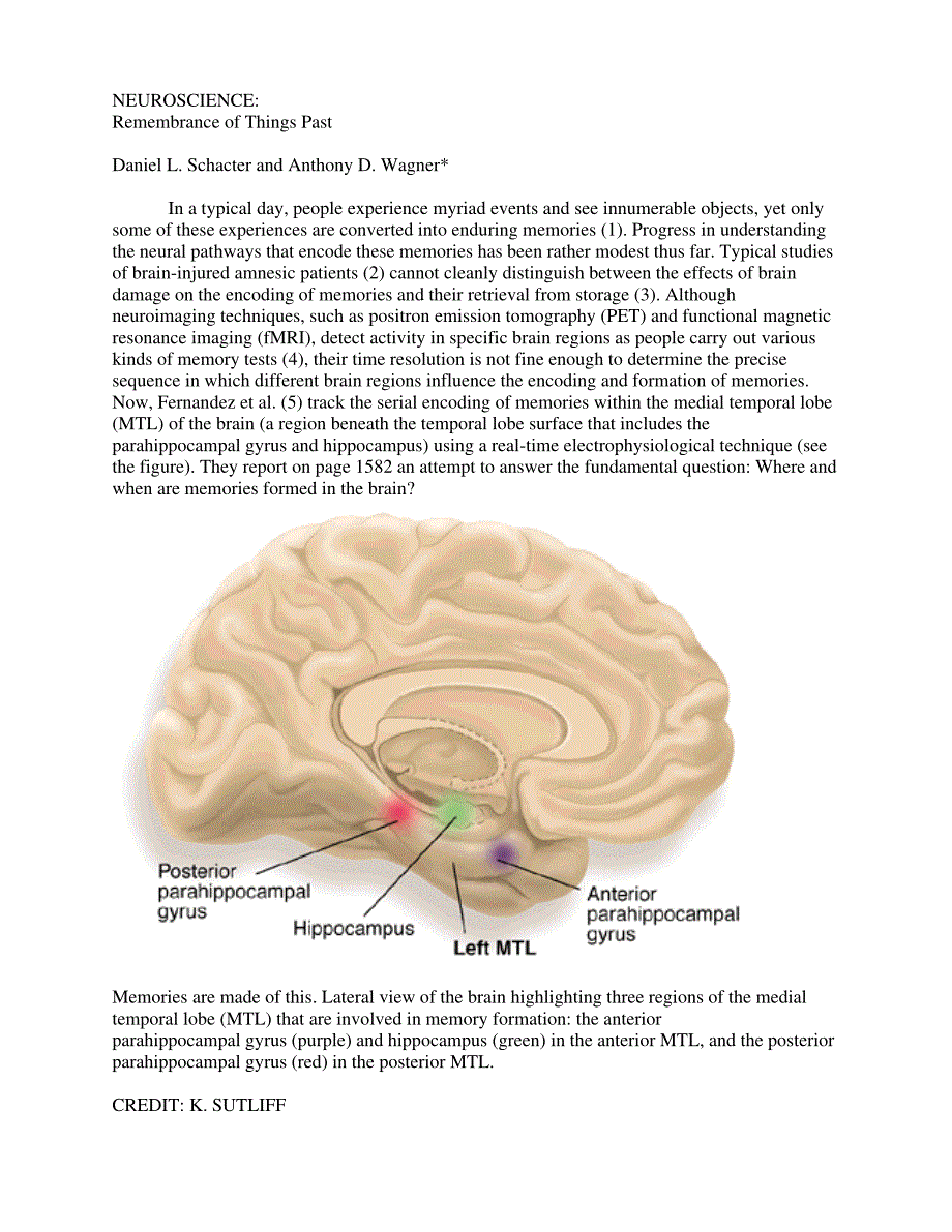 neuroscience remembrance of things past_第1页