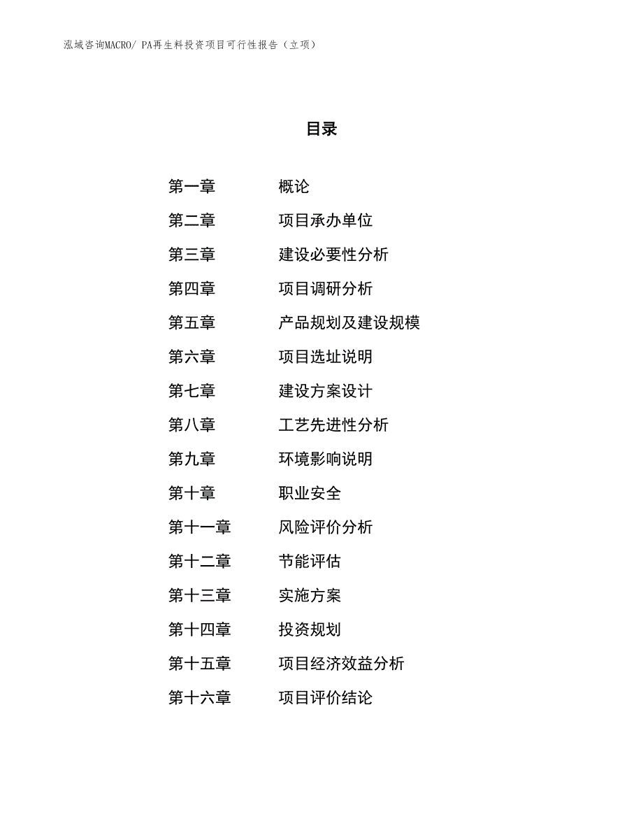 PA再生料投资项目可行性报告（立项）_第1页