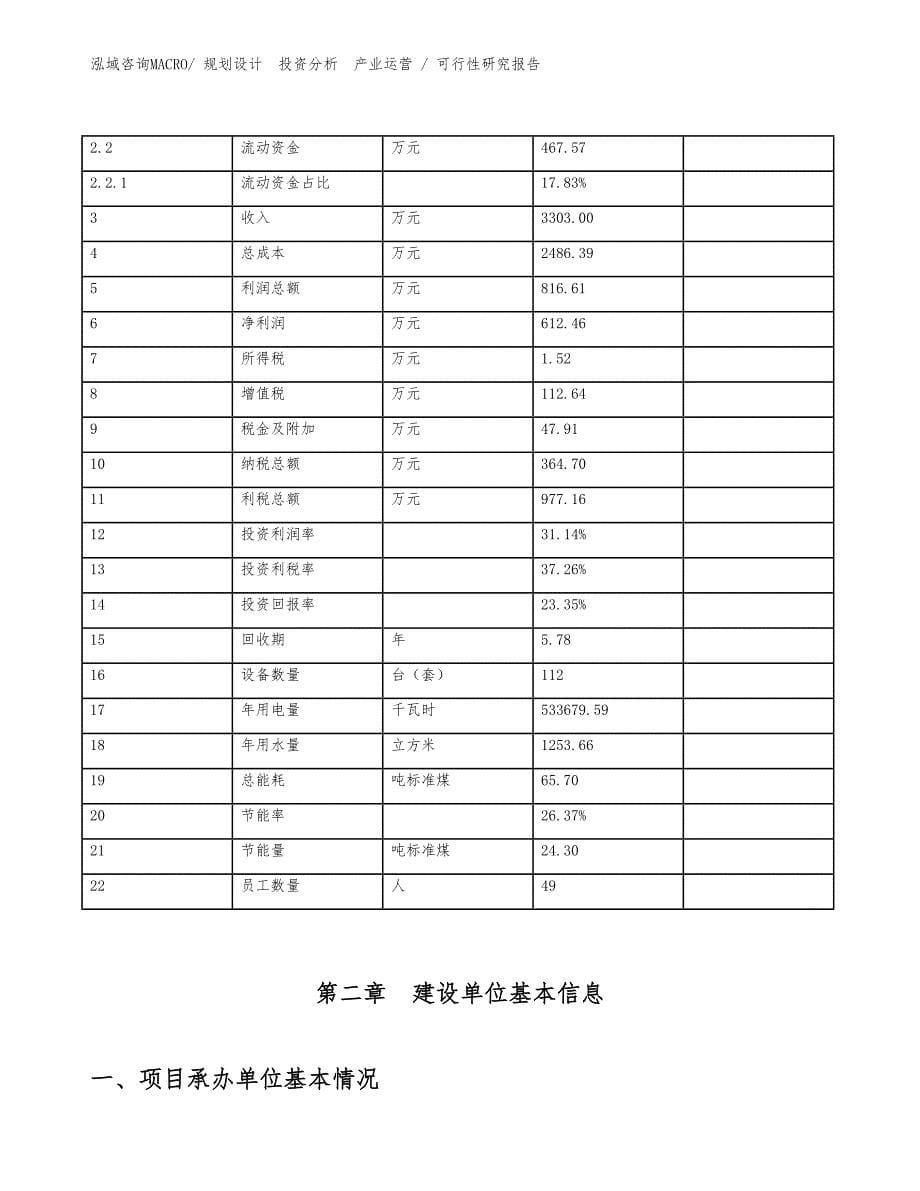 分离薄膜项目可行性研究报告（立项审批）_第5页