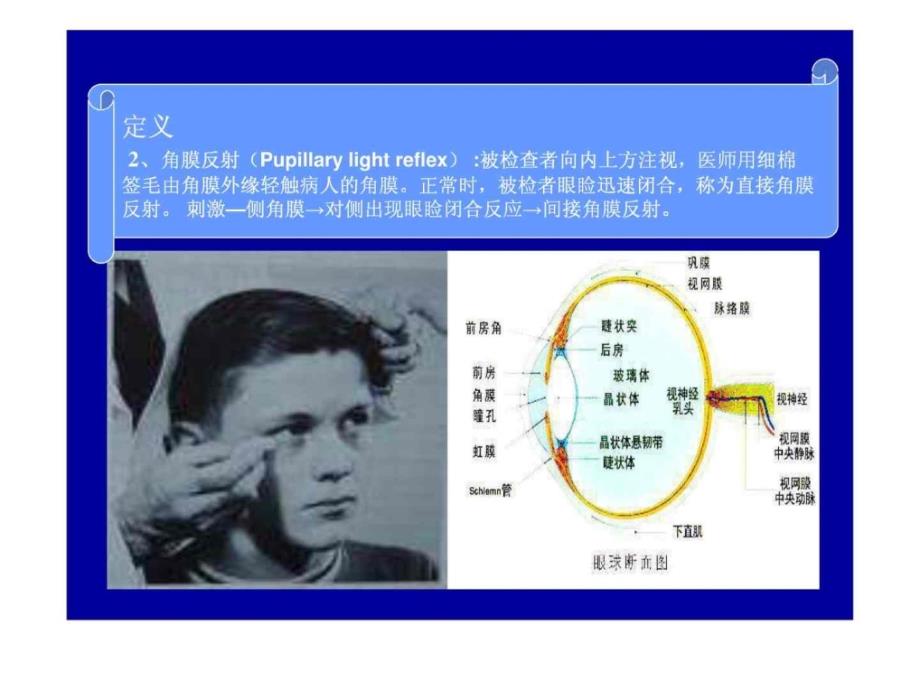 神经反射应用解剖_下载_第4页