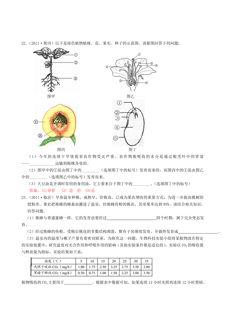 中考生物试题分类集之六 开花和结果_第4页