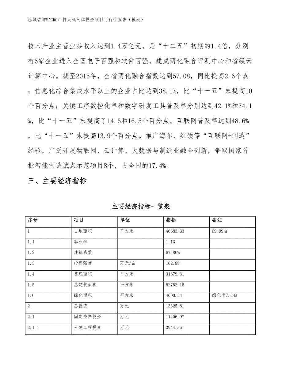 打火机气体投资项目可行性报告（模板）_第5页