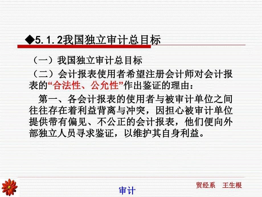 【7A文】内部审计-审计目标与审计范围_第5页