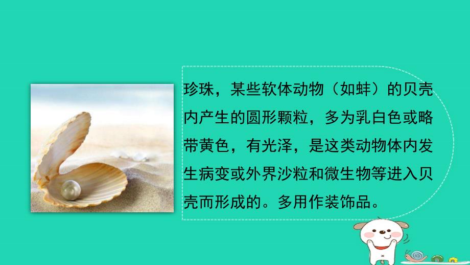 2018年三年级语文上册8海底世界圆圆的沙粒课件北师大版_第4页