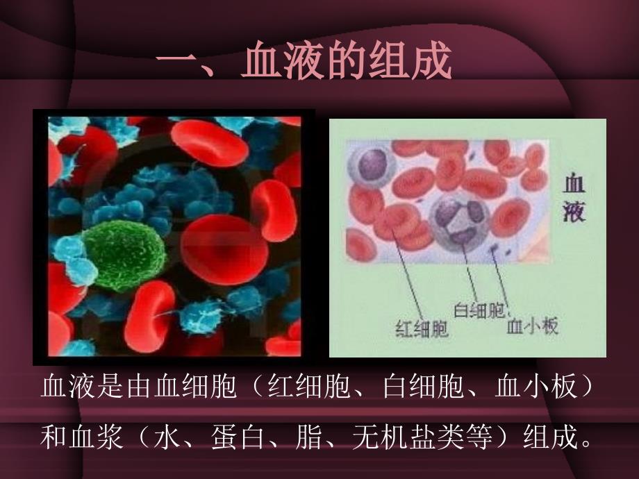 血液生理及血型知识和捐血献髓常识_第4页