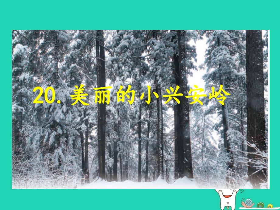 2018年三年级语文上册第六单元20美丽的小兴安岭课件新人教版_第1页