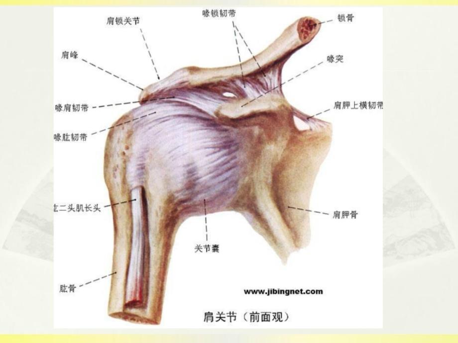 座6肩周炎的综合治疗（肩周注射、内热针联合治疗）_第4页