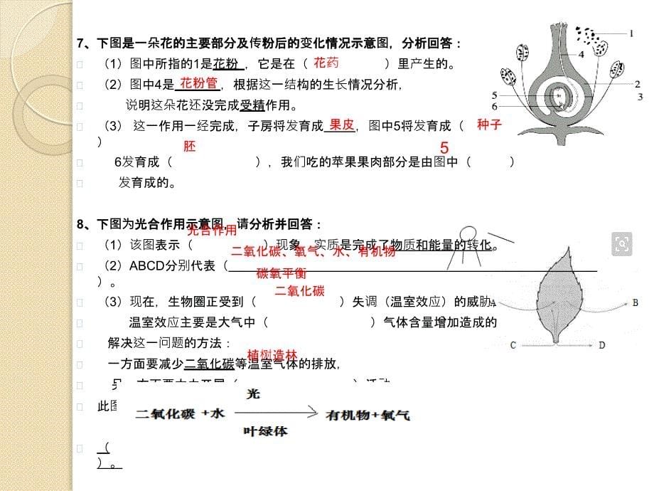 2017七年级生物上册复习识图题_第5页