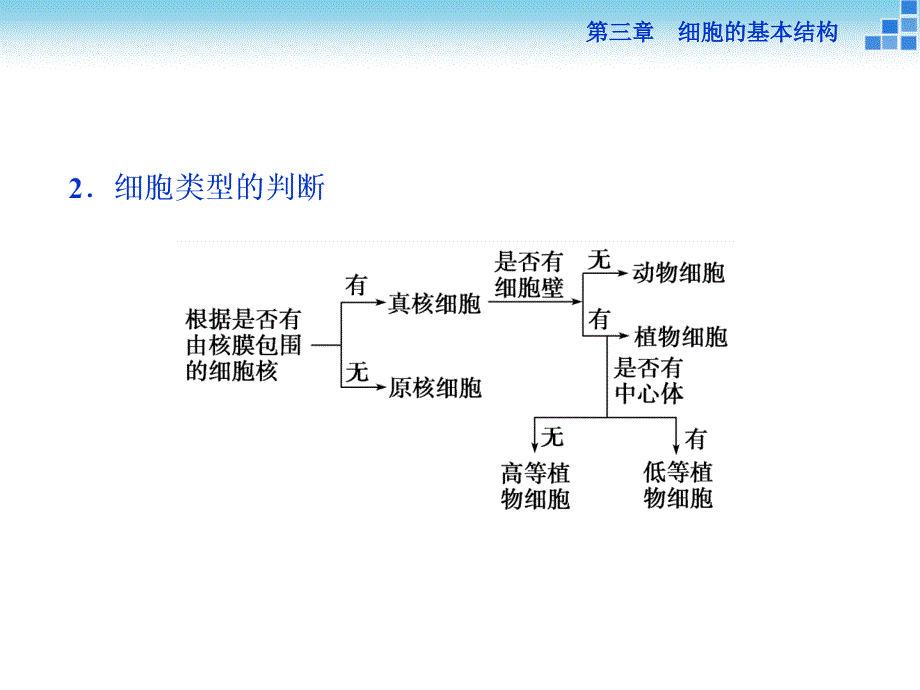 修订]细胞结构图像的辨别_第3页