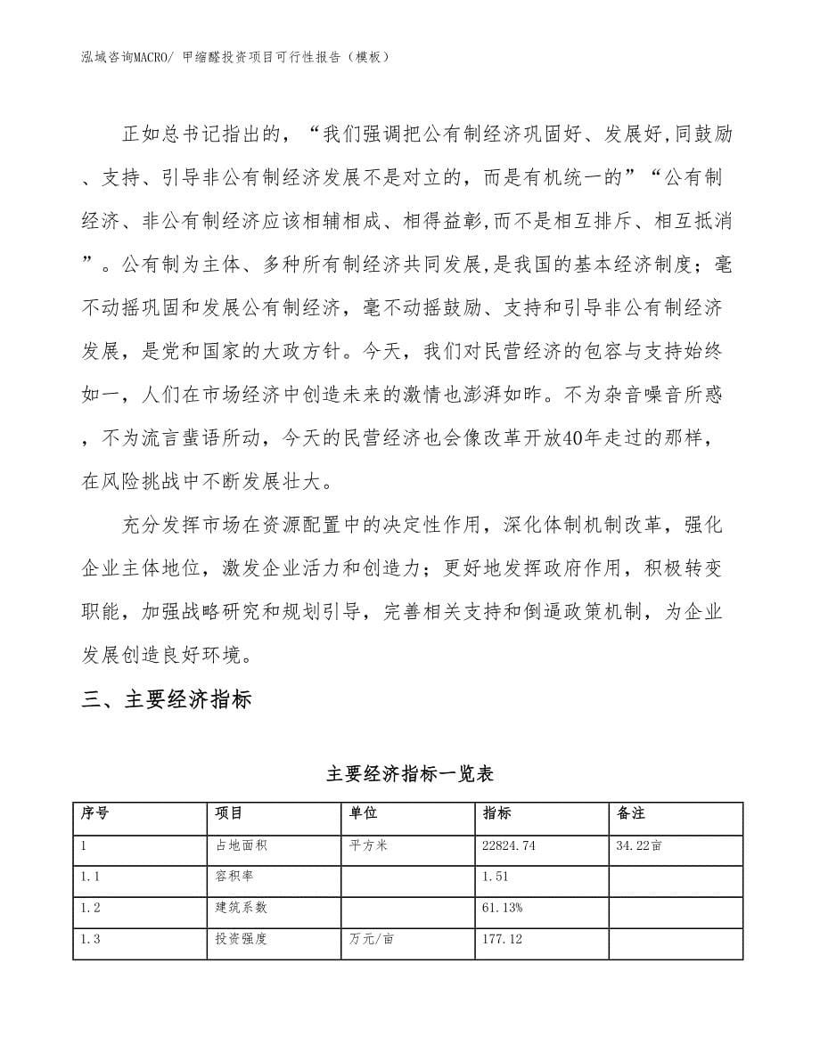 甲缩醛投资项目可行性报告（模板）_第5页