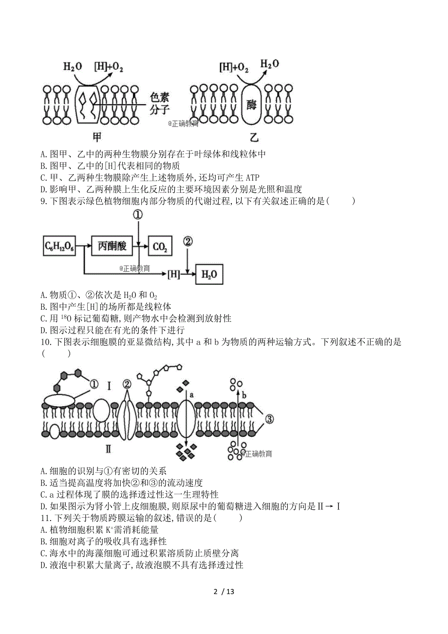 宁夏长庆高级中学2019届高三第一次月考生物试卷 Word版含答案.doc_第2页