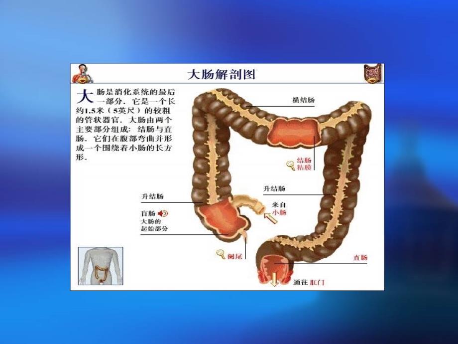 直肠癌的护理-护理_第2页