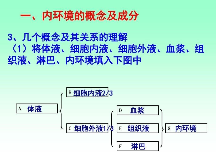 2017人体的内环境与稳态一轮复习_第5页