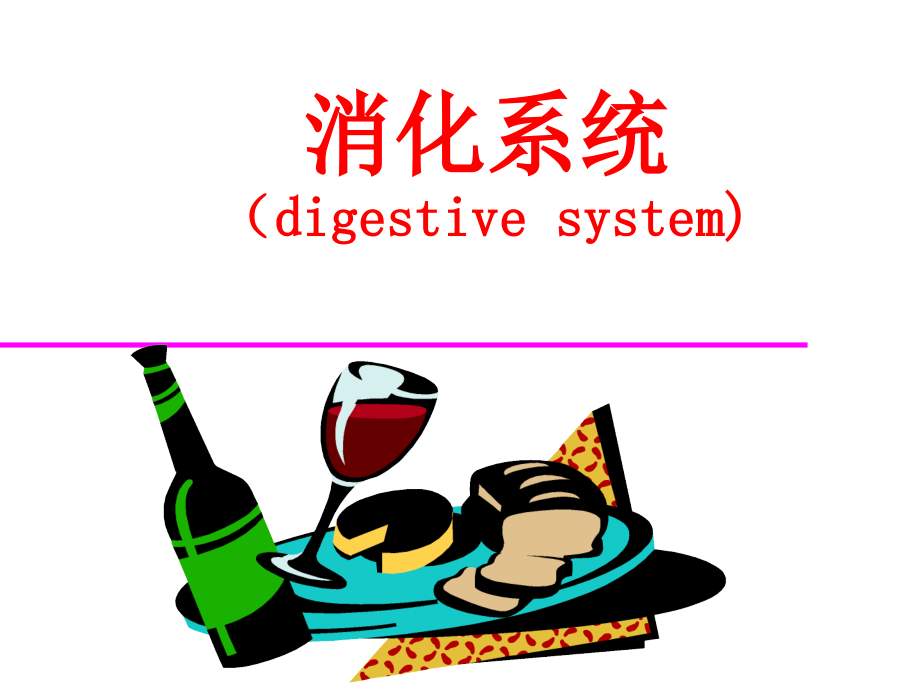 消化系统（digestivesystem）_第1页