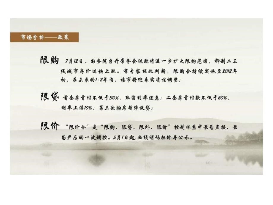 2011年滨州万兴置业别墅项目推广策略方案_第5页