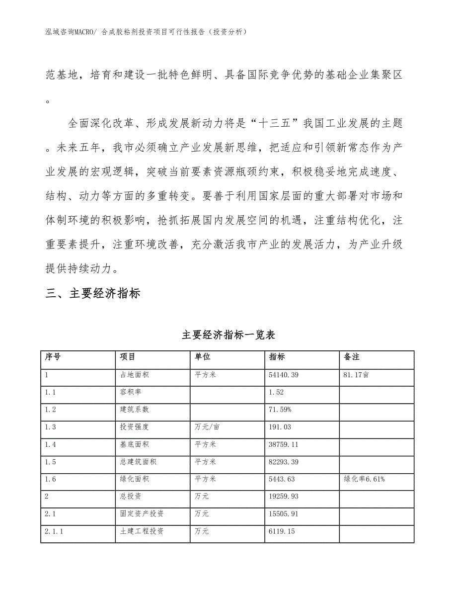 合成胶粘剂投资项目可行性报告（投资分析）_第5页