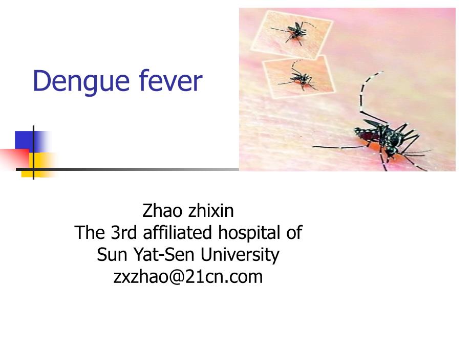 dengue fever登革热_第1页