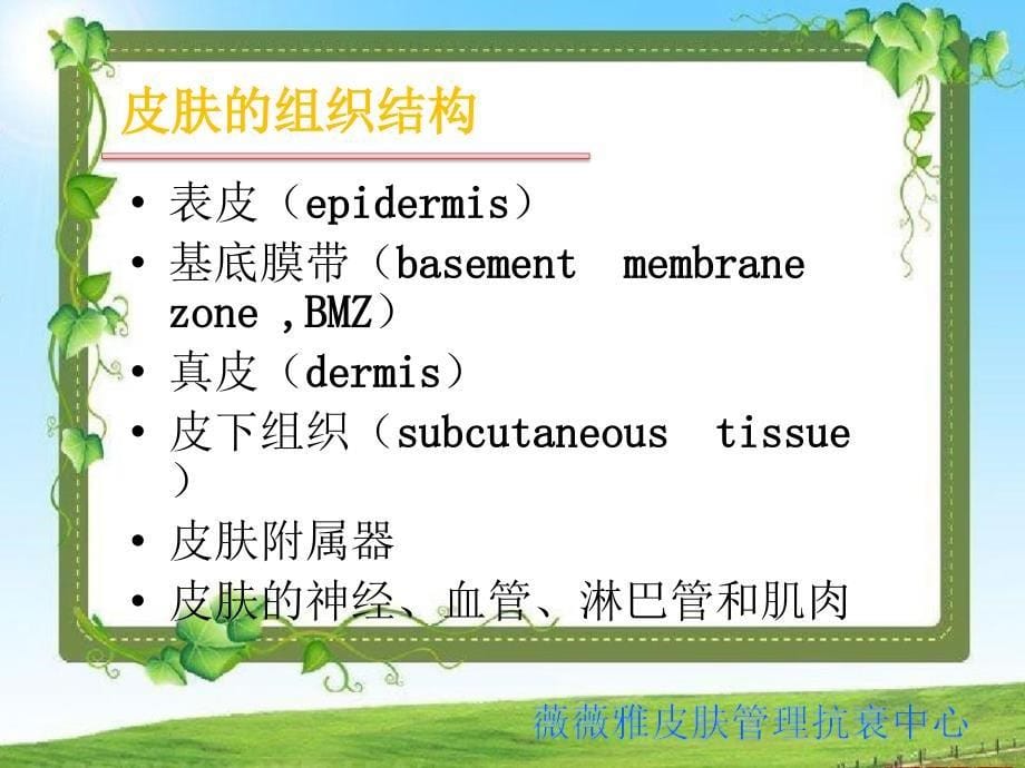 第一讲-皮肤的解剖和组织结构_第5页