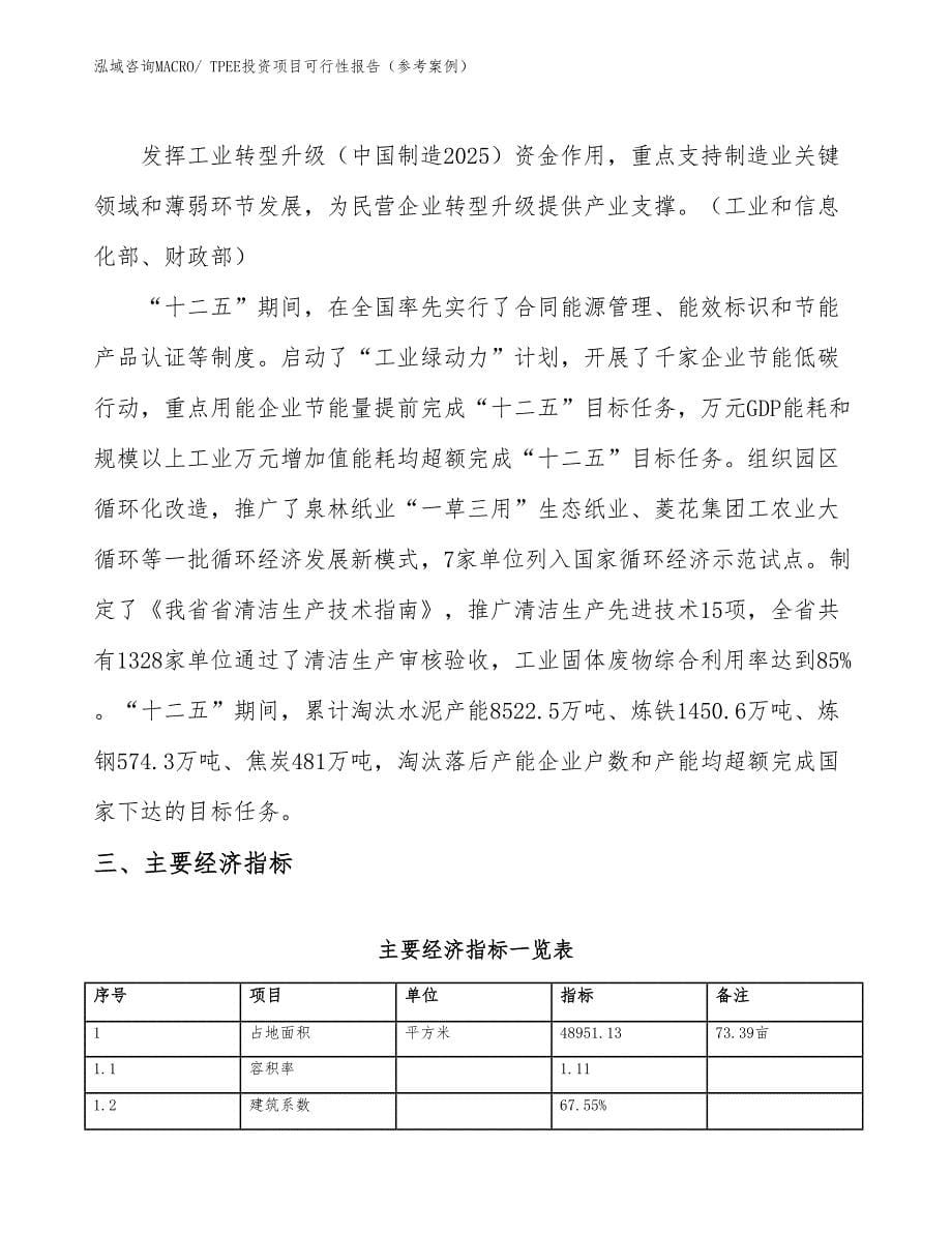 TPEE投资项目可行性报告（参考案例）_第5页